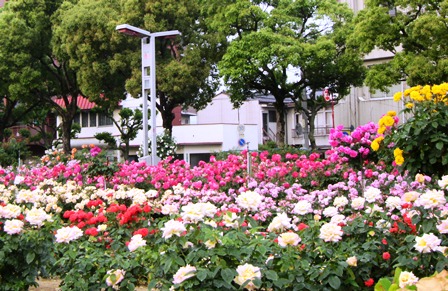 f0088569_9294298.jpg