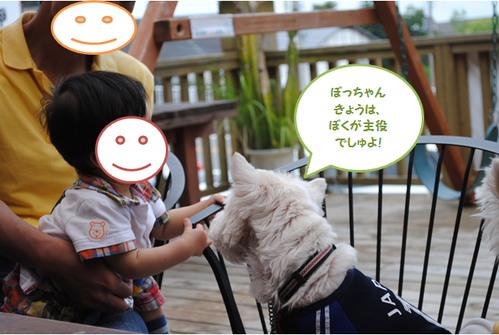 b0242873_037398.png
