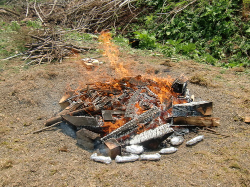 f0225473_20455834.jpg