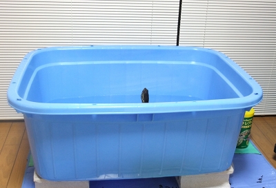 e0120575_012446.jpg