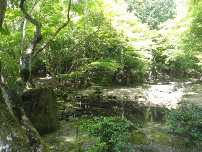 d0082980_18144074.jpg