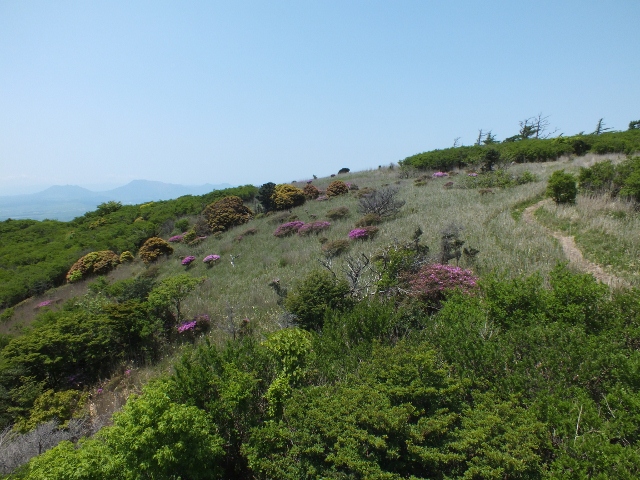 f0082181_22285557.jpg