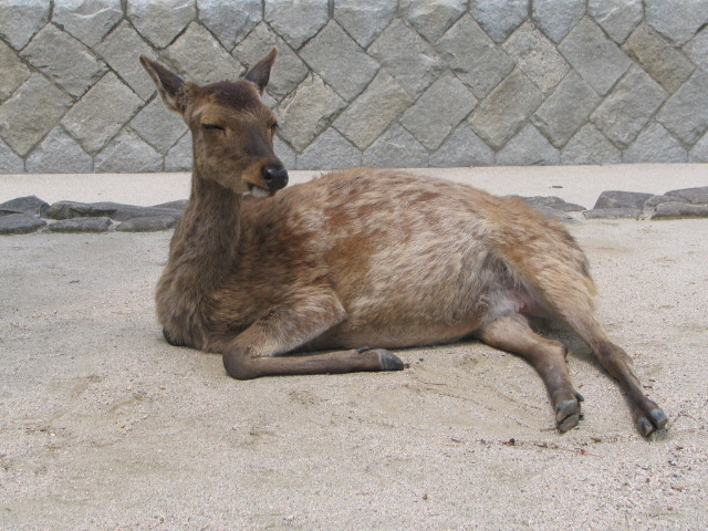 b0120387_943850.jpg