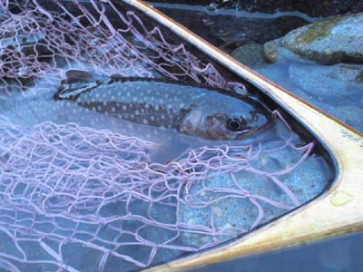 c0146788_1504337.jpg
