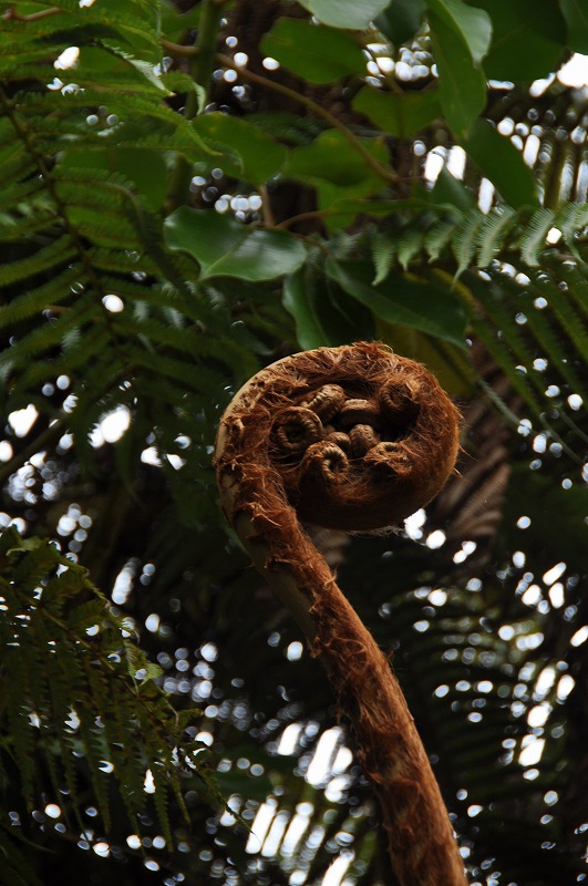 c0240388_7552385.jpg