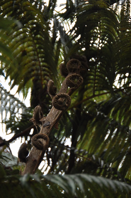 c0240388_7553868.jpg