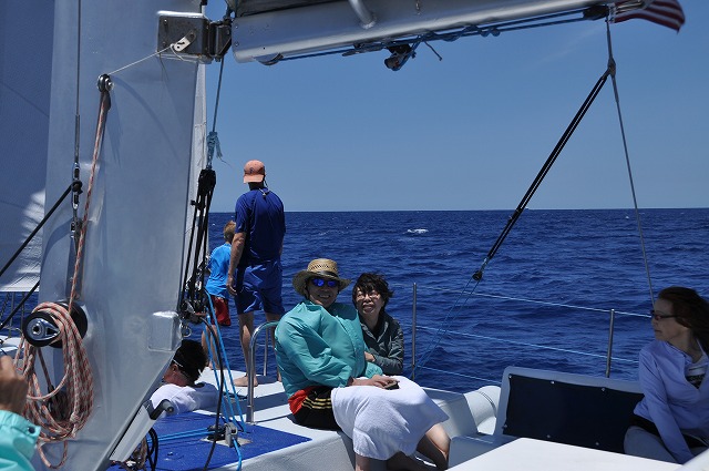 c0240388_7561432.jpg