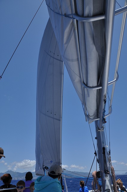 c0240388_7563135.jpg