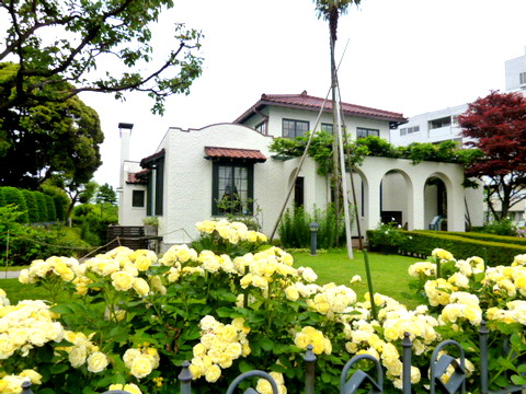 f0137694_23441130.jpg