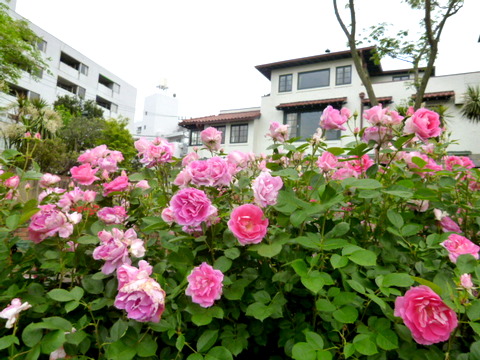 f0137694_2345876.jpg
