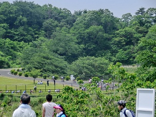 d0156797_13421150.jpg