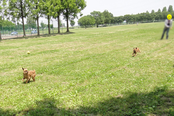 c0094999_1961660.jpg