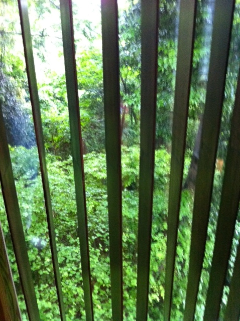 b0083902_2051413.jpg