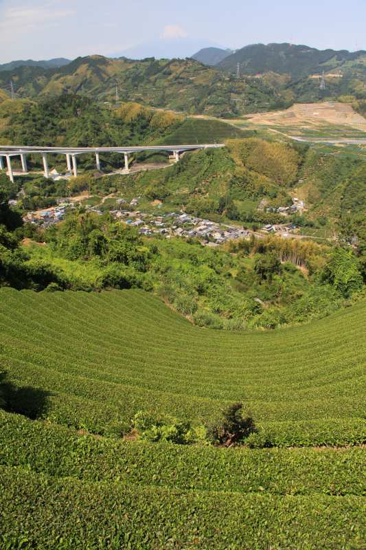 a0188405_20202910.jpg