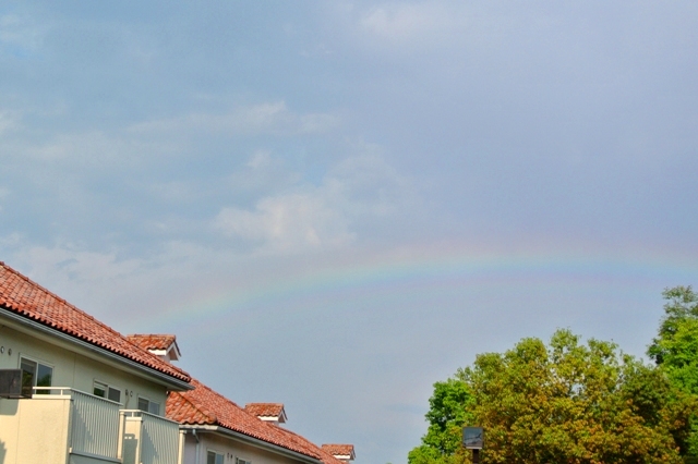 b0026408_23583667.jpg