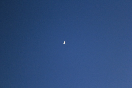 e0123808_084122.jpg