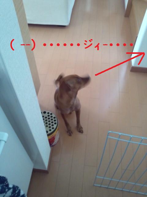 e0246708_15355885.jpg