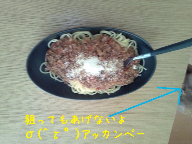 e0246708_15374933.jpg