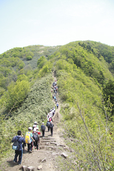 e0139312_14383792.jpg