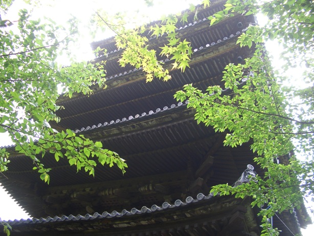 e0033713_845322.jpg