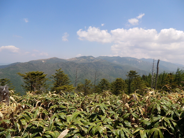 d0170615_1763162.jpg