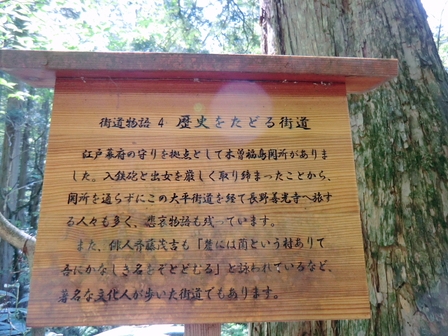 d0170615_1765368.jpg