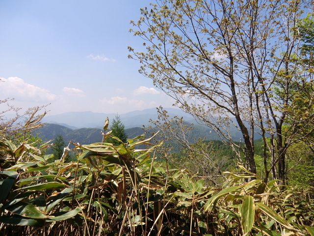 d0170615_176680.jpg