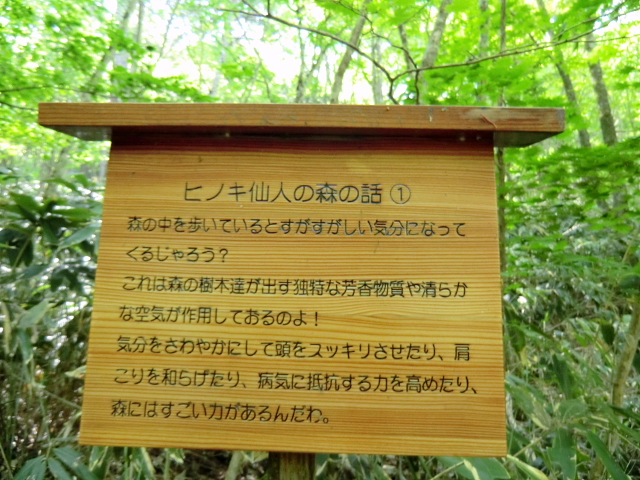 d0170615_1771316.jpg