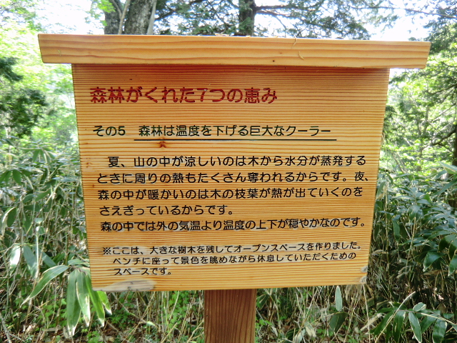 d0170615_177342.jpg