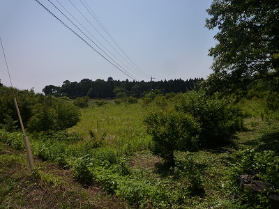 f0031420_1844961.jpg