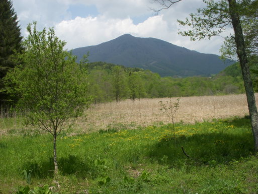 e0109622_2225745.jpg