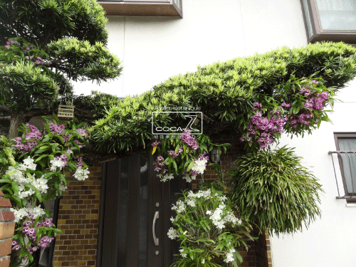 b0160123_121153.gif