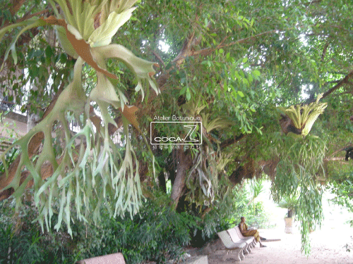 b0160123_1311270.gif
