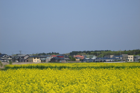 d0250123_17483976.jpg