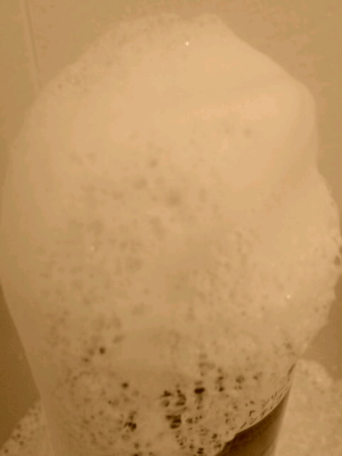 e0245625_19594271.jpg
