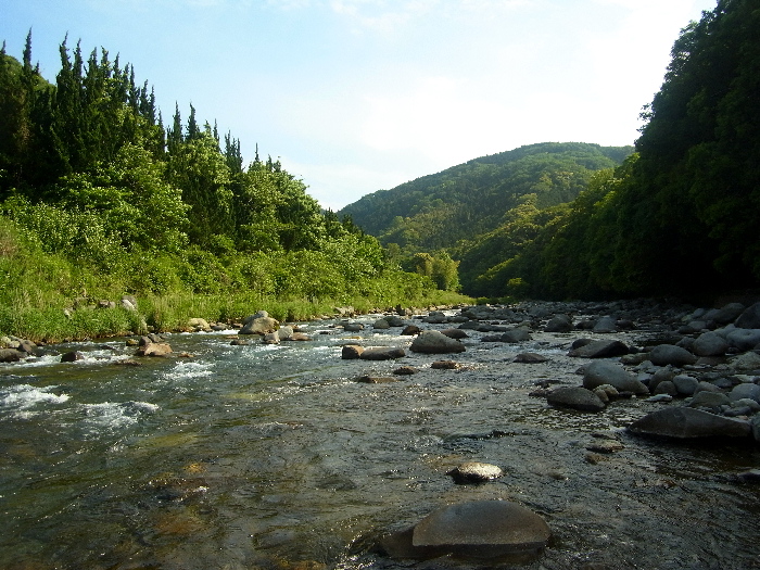 f0103126_21471997.jpg