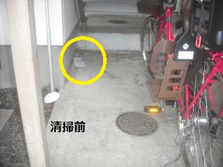 f0031037_21301112.jpg