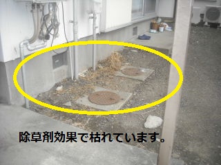 f0031037_21301966.jpg