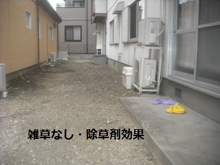 f0031037_2130412.jpg
