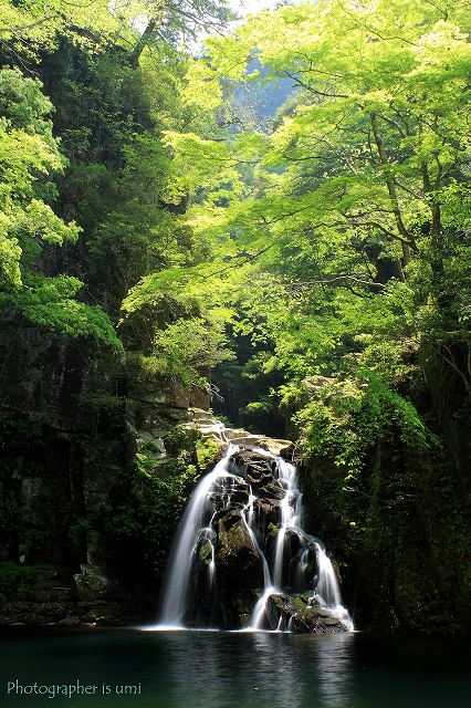 e0083238_2203161.jpg