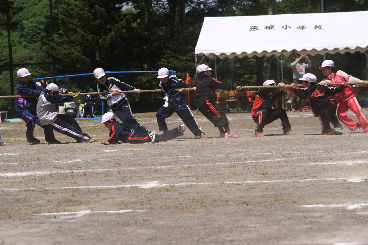 a0116947_17232047.jpg