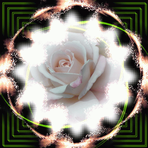 b0133752_22572984.gif