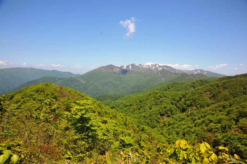 d0169556_18205140.jpg
