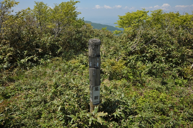 d0169556_18334392.jpg