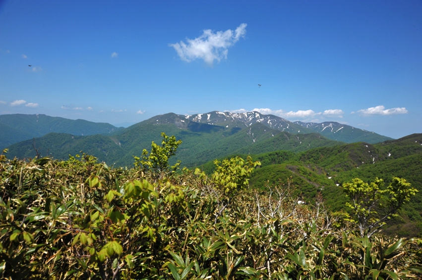 d0169556_18442812.jpg