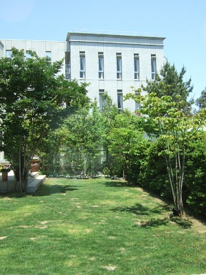 e0225164_816693.jpg