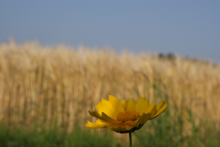 a0091666_18143647.jpg