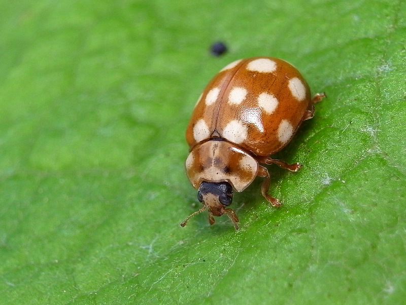 b0130166_2057403.jpg