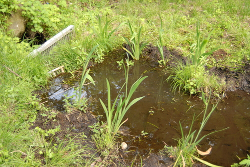 e0151566_23375167.jpg