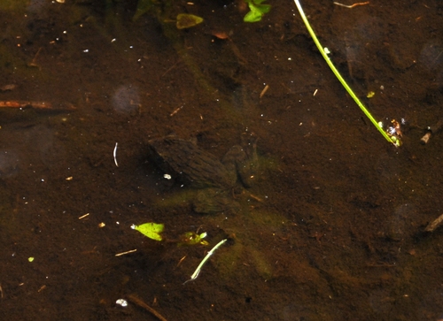 e0151566_23445832.jpg